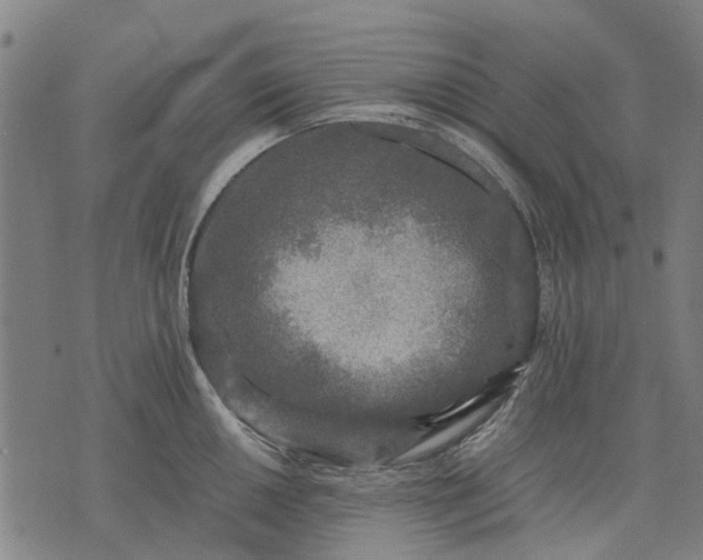 X0000070391050200606231732