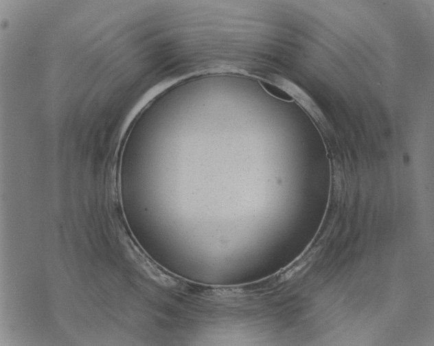 X0000070391052200606231732