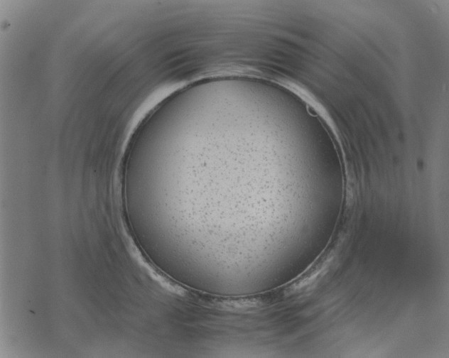 X0000070391053200606231733