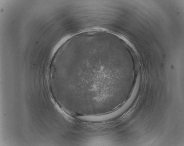 X0000070391054200606231733