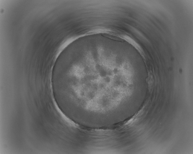 X0000070391055200606231733