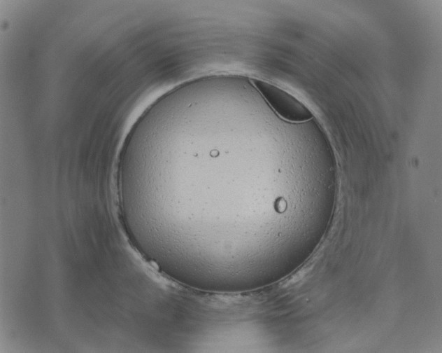 X0000070391056200606231733