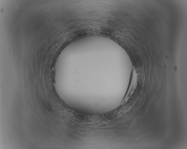 X0000070391057200606231732