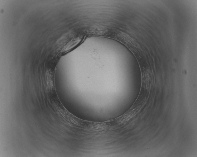 X0000070391058200606231732