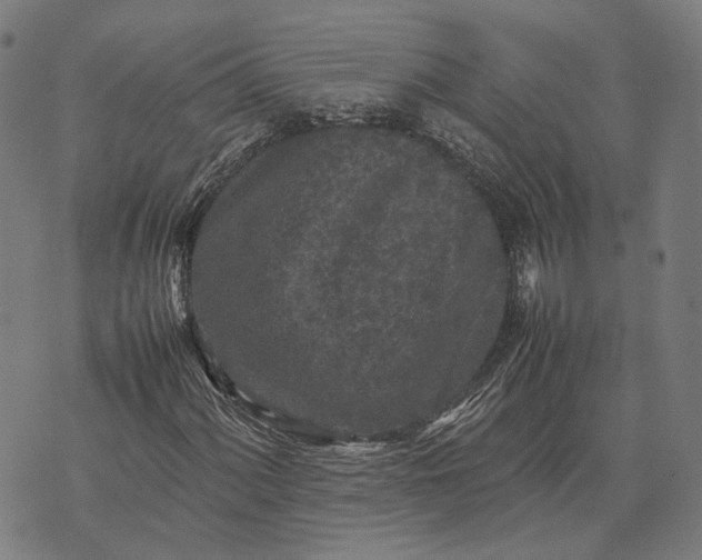 X0000070391060200606231732