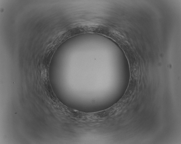 X0000070391061200606231732