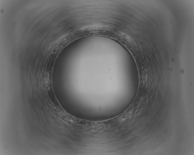 X0000070391062200606231732