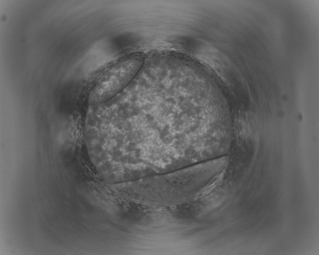 X0000070391063200606231732