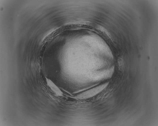 X0000070391064200606231732