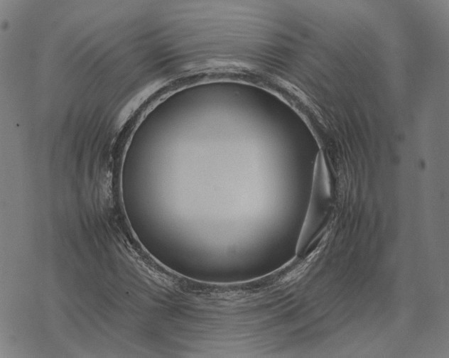 X0000070391066200606231732