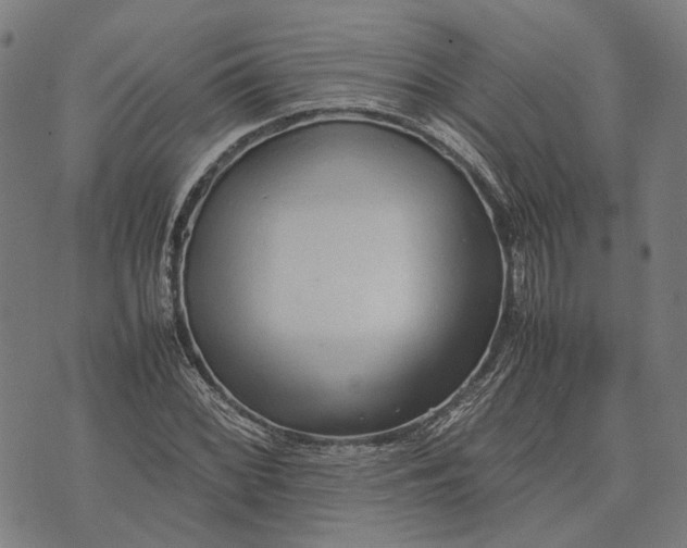 X0000070391068200606231732