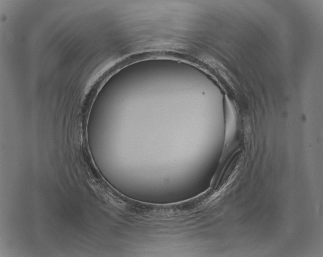 X0000070391069200606231732