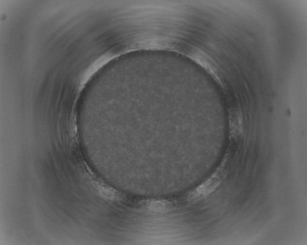 X0000070391070200606231732