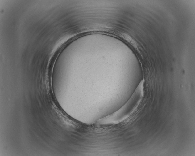 X0000070391072200606231732