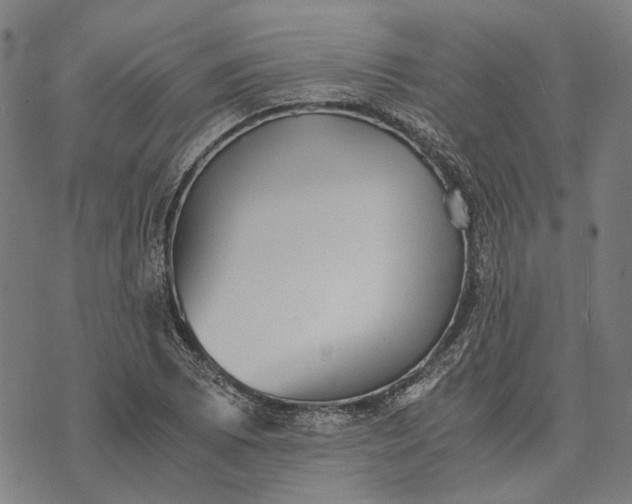 X0000070391073200606231732