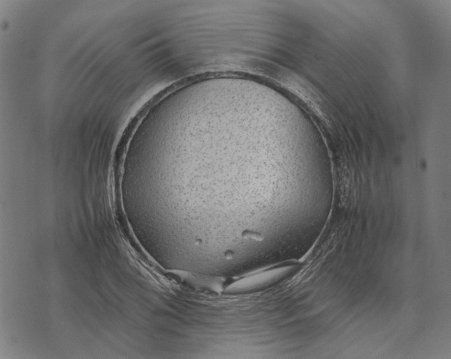 X0000070391076200606231731