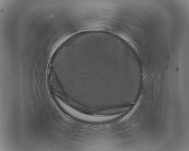 X0000070391077200606231731