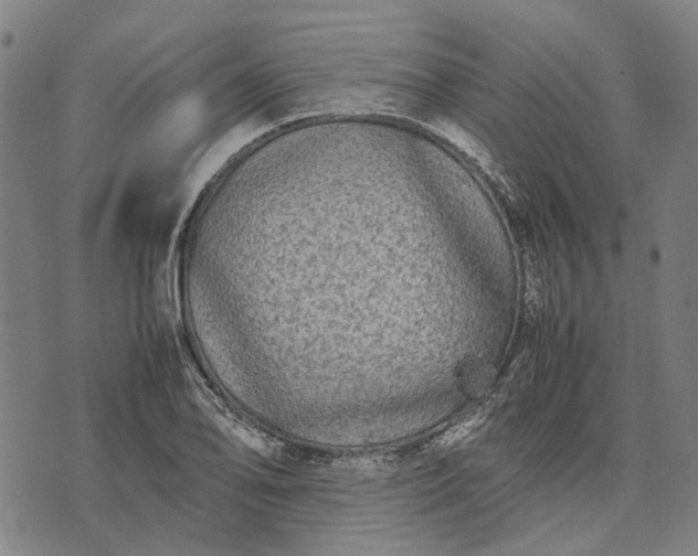 X0000070391078200606231731