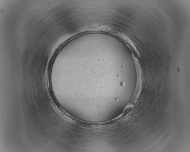 X0000070391080200606231731