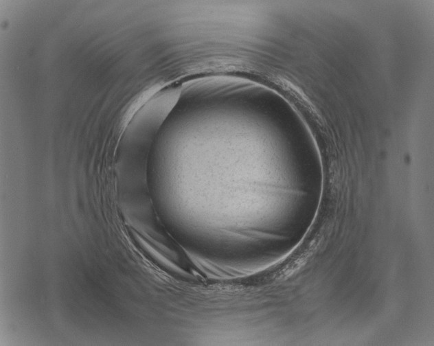 X0000070391081200606231731