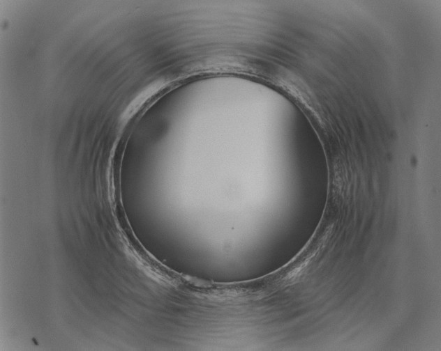 X0000070391082200606231731