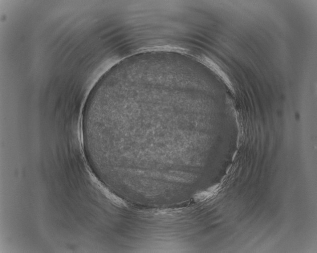 X0000070391084200606231731