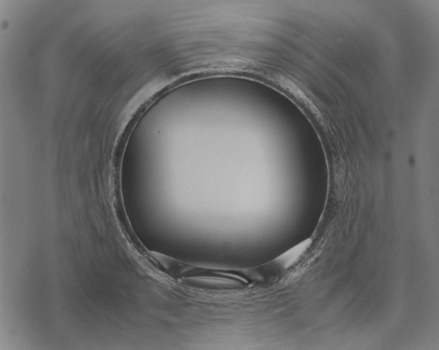 X0000070391085200606231731