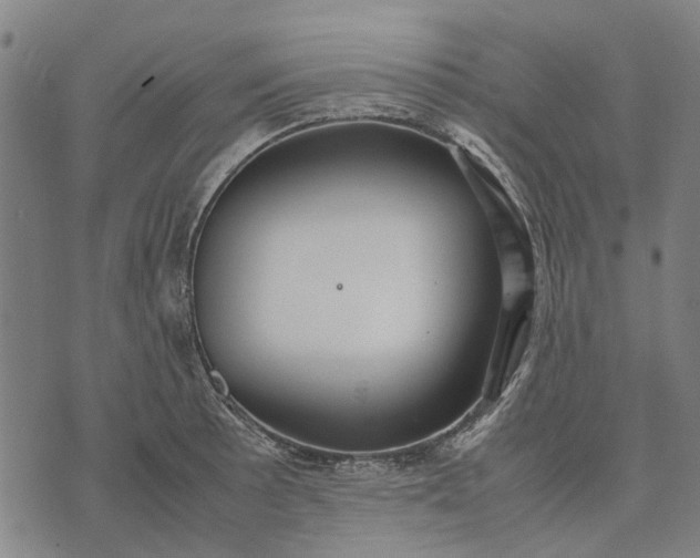 X0000070391089200606231731