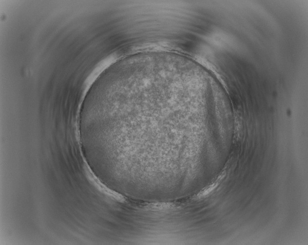 X0000070391090200606231731