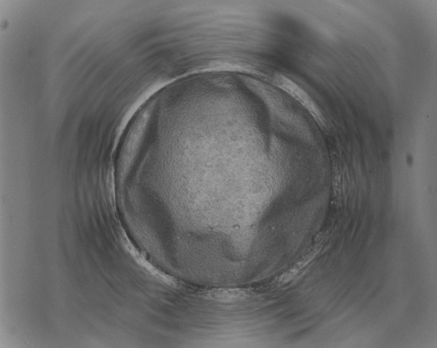 X0000070391092200606231731