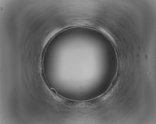 X0000070391093200606231731