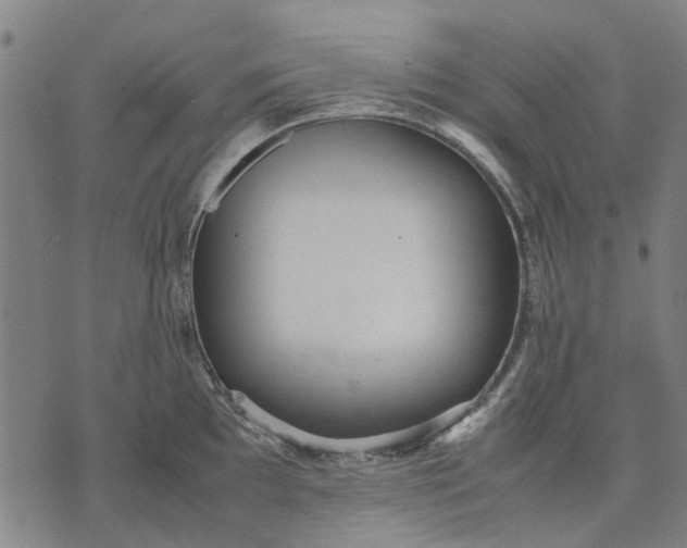 X0000070391097200606231731