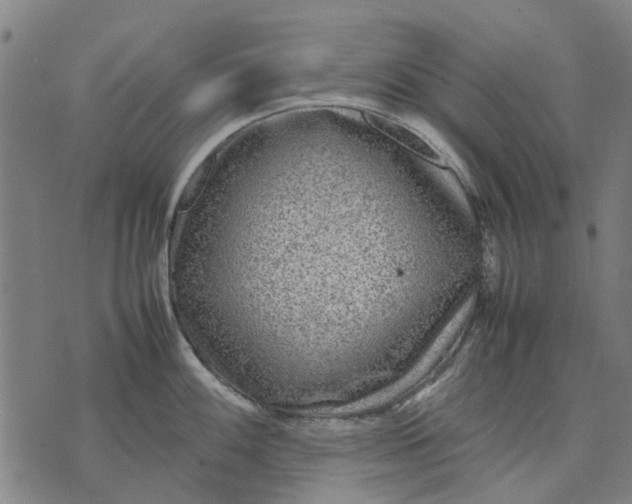 X0000070391100200606231731