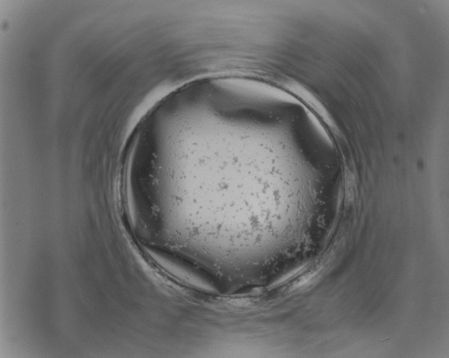 X0000070391101200606231731