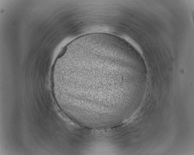 X0000070391104200606231731