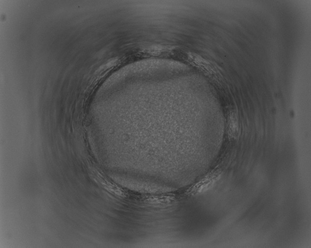 X0000070391105200606231730