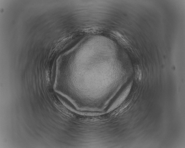 X0000070391106200606231730