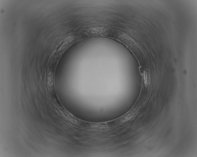 X0000070391107200606231730