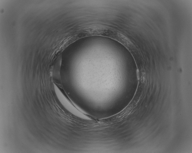 X0000070391108200606231730