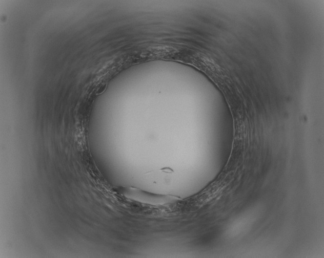 X0000070391109200606231730