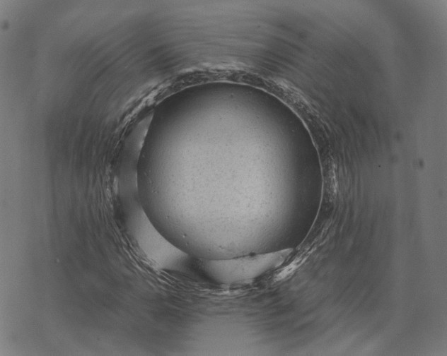 X0000070391110200606231730