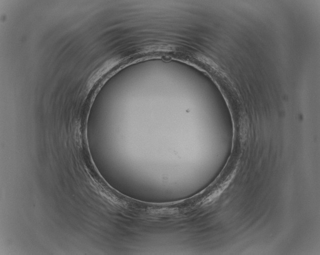 X0000070391113200606231730