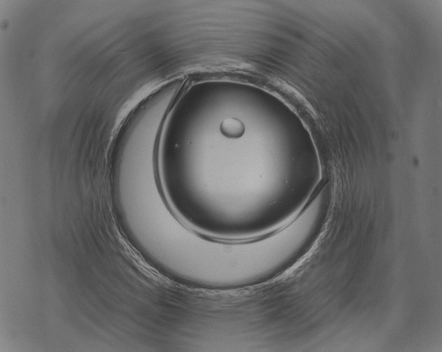 X0000070391114200606231730