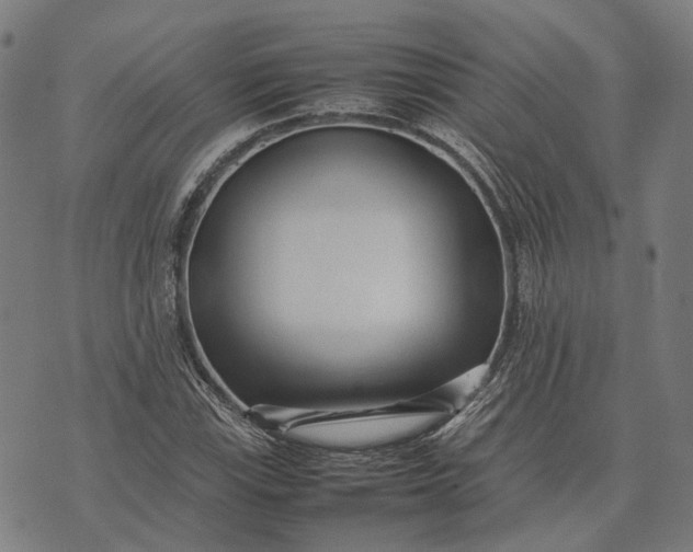 X0000070391115200606231730