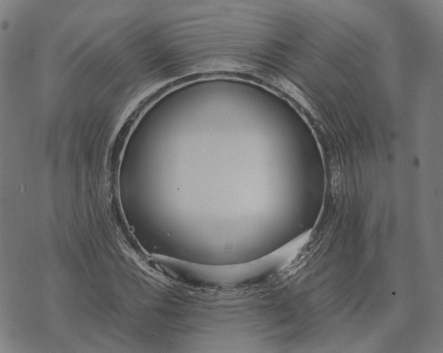 X0000070391116200606231730