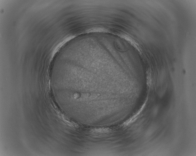 X0000070391117200606231730