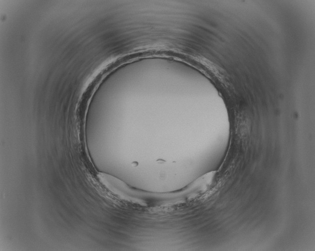 X0000070391118200606231730