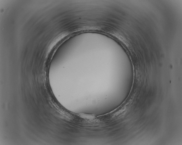 X0000070391119200606231730