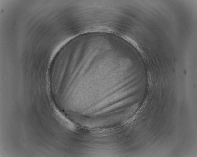 X0000070391120200606231730