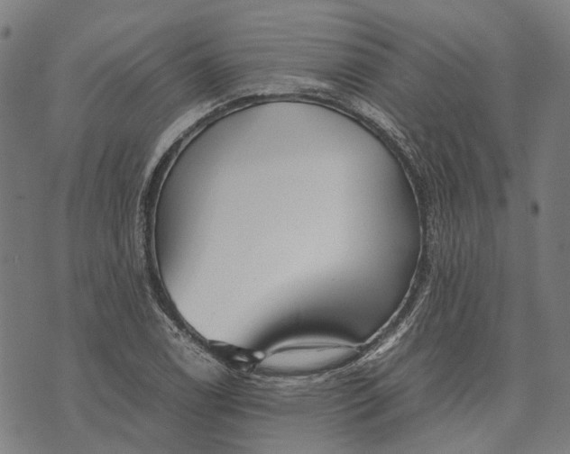 X0000070391122200606231730